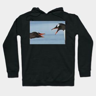 Squabbling Penguins Hoodie